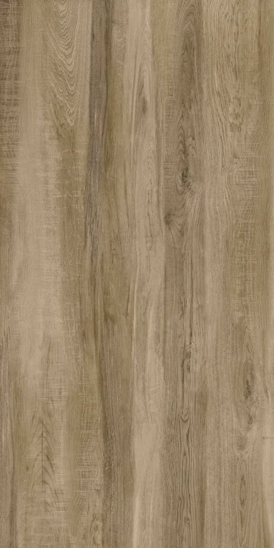 FOREST 6271 FOREST 6271